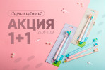 Скидка на Perfect 10000 DUO